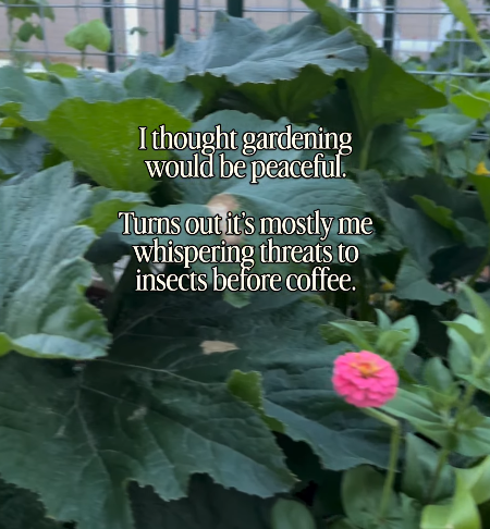 I thought gardening would be peaceful. Turns out it's mostly me whispering threats to insects before coffee.