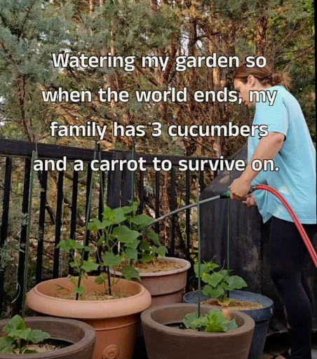Watering my garden so when the world ends, my family has 3 cucumbers and a carrot to survive on.