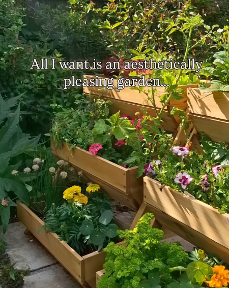 All I want is an aesthetically pleasing garden...