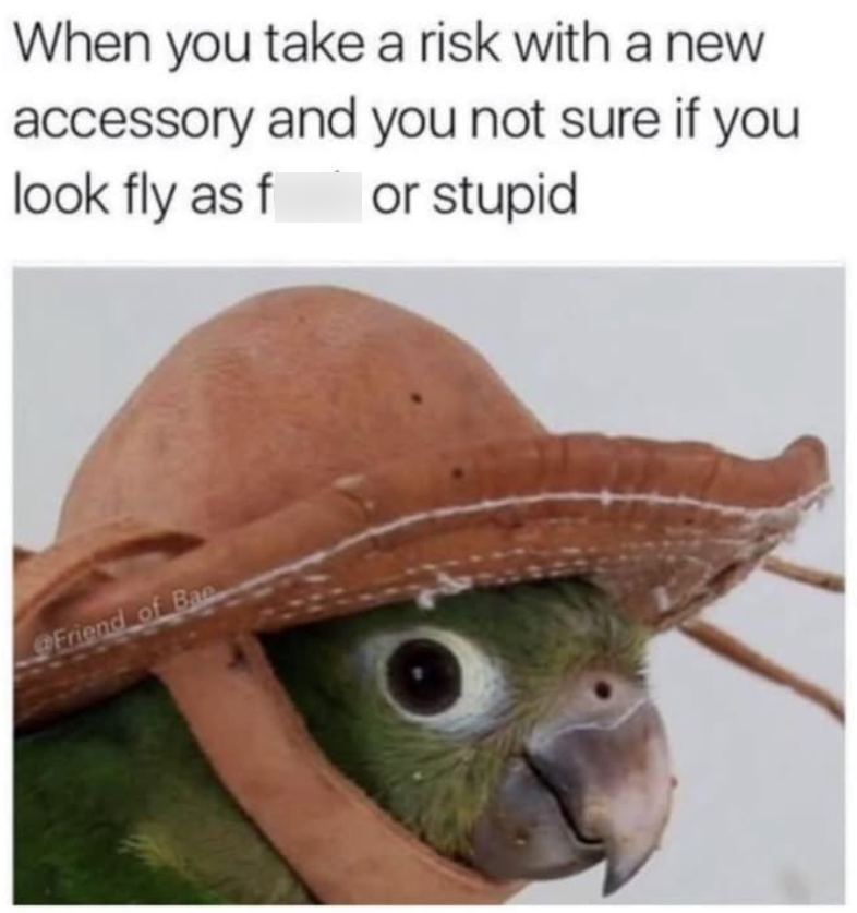 When you take a risk with a new accessory and you not sure if you look fly as f or stupid Friend of Bae
