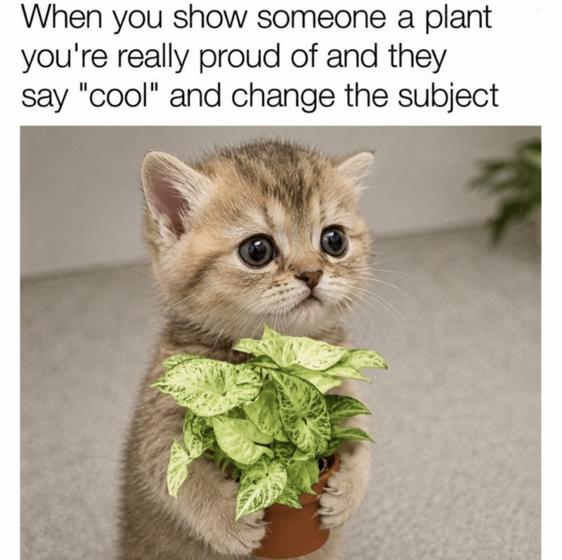 When you show someone a plant you're really proud of and they say "cool" and change the subject