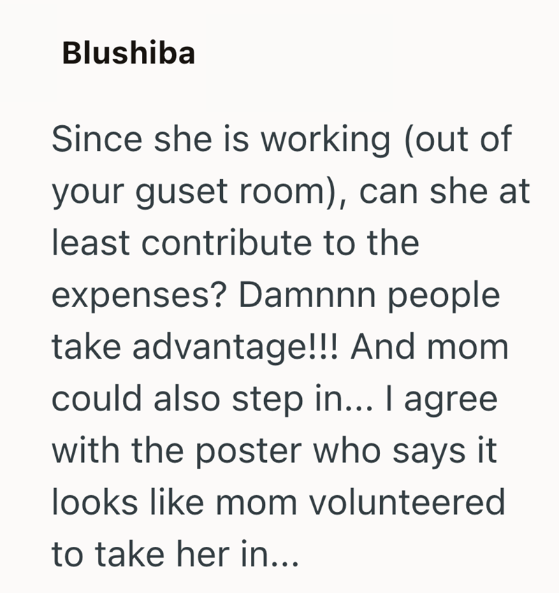Blushiba Since she is working (out of your guset room), can she at least contribute to the expenses? Damnnn people take advantage!!! And mom could also step in... I agree with the poster who says it looks like mom volunteered to take her in...