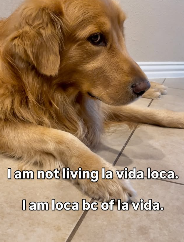 I am not living la vida loca. I am loca bc of la vida.