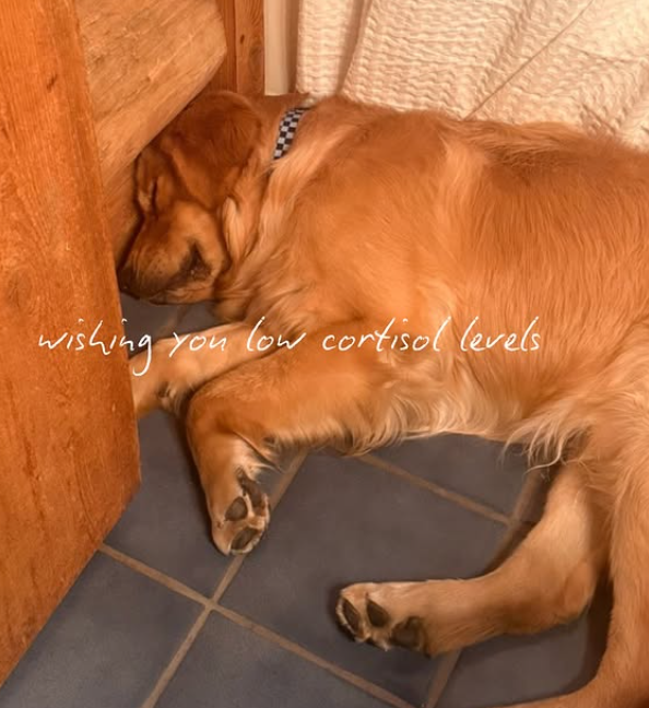 wishing you low cortisol levels