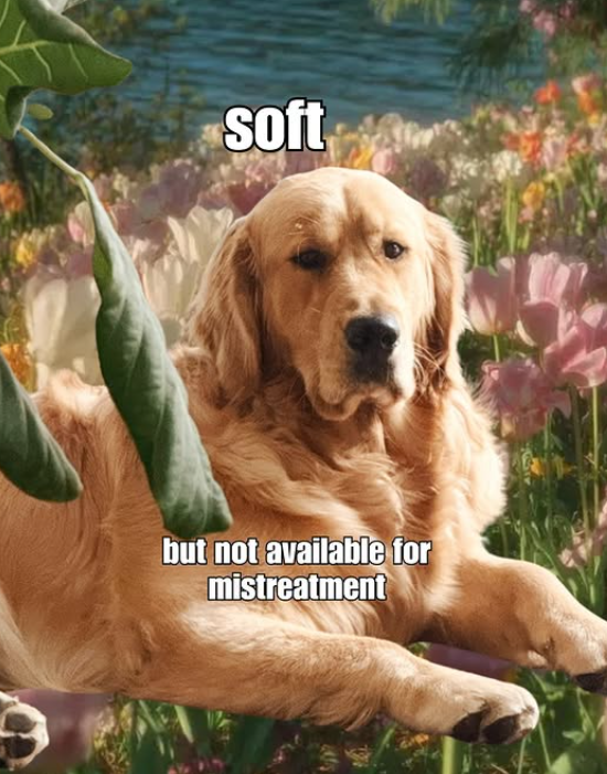 soft but not available for mistreatment
