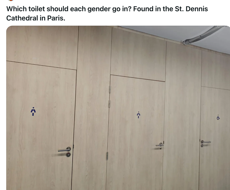 Which toilet should each gender go in? Found in the St. Dennis Cathedral in Paris. .<-