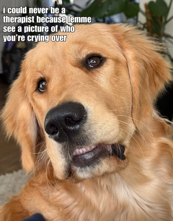 i could never be a therapist because lemme see a picture of who you're crying over