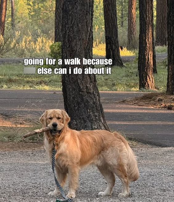 going for a walk because else can i do about it