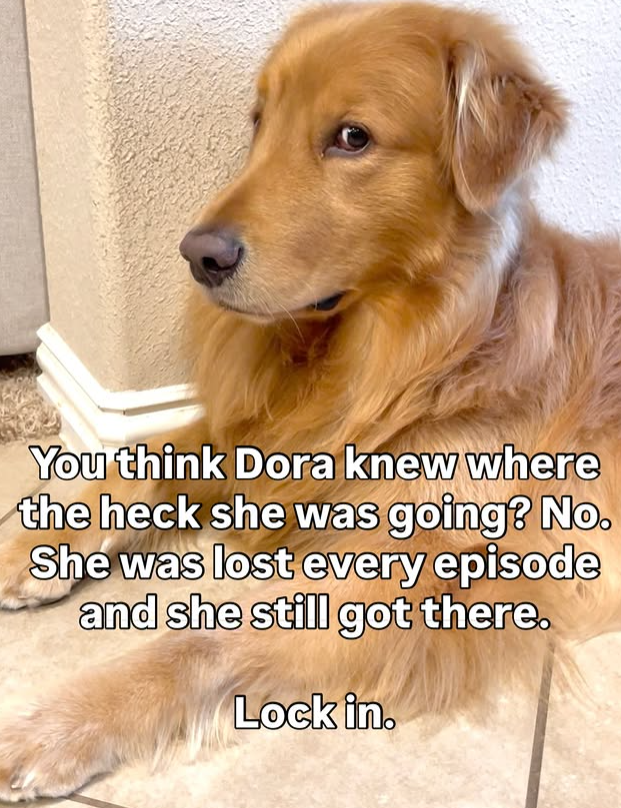 You think Dora knew where the heck she was going? No. She was lost every episode and she still got there. Lock in.