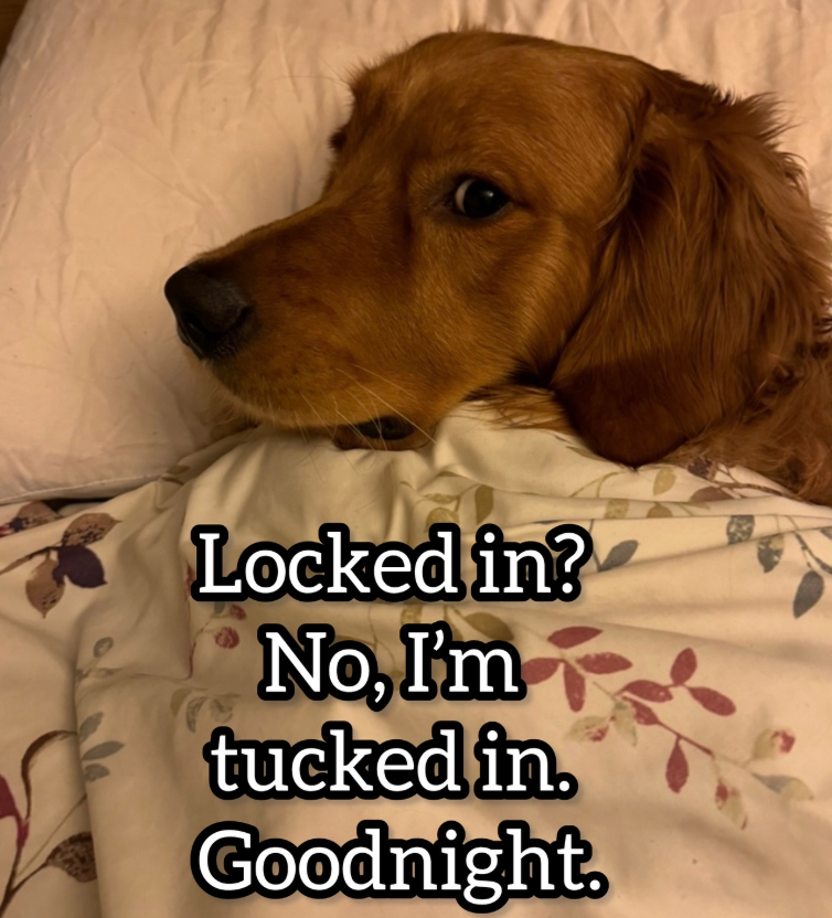 Locked in? No, I'm tucked in. Goodnight.