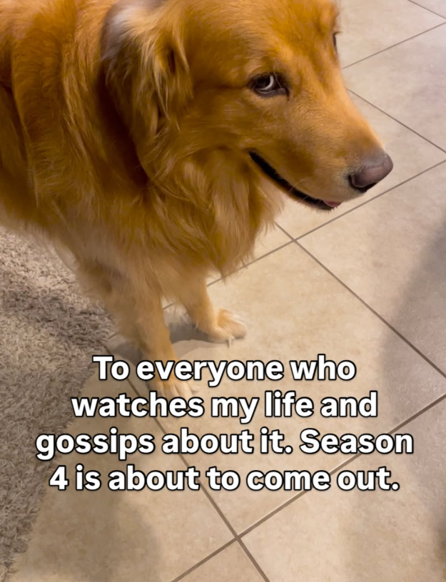 To everyone who watches my life and gossips about it. Season 4 is about to come out.