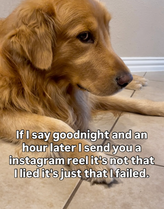 If I say goodnight and an hour later I send you a instagram reel it's not that I lied it's just that I failed.