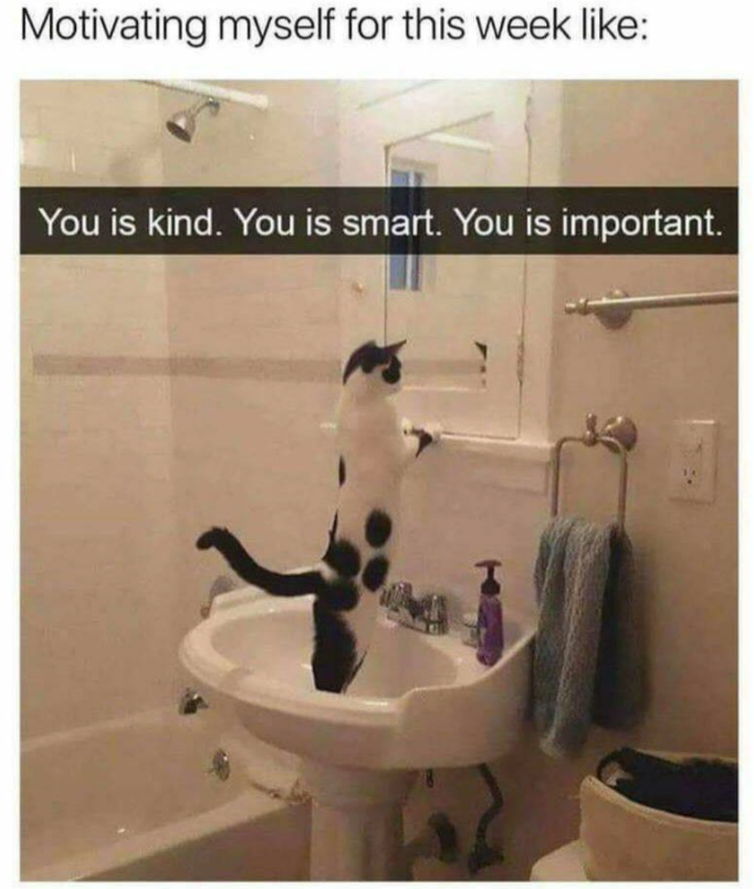 Motivating myself for this week like: You is kind. You is smart. You is important.