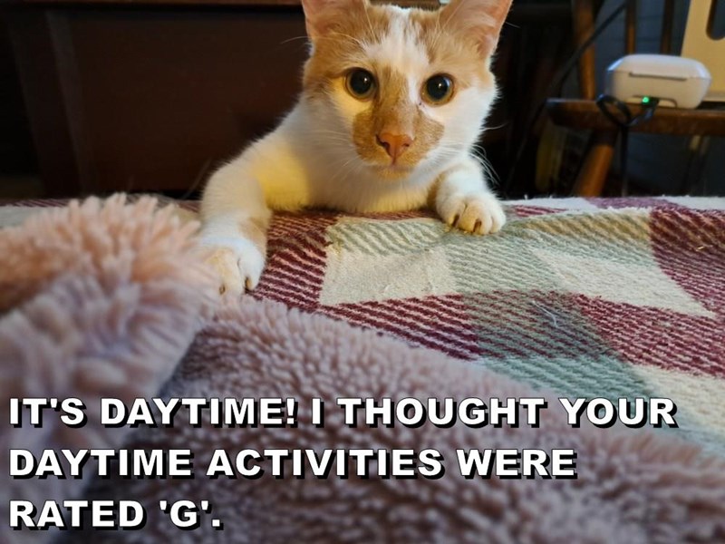 IT'S DAYTIME! I THOUGHT YOUR DAYTIME ACTIVITIES WERE RATED 'G'.
