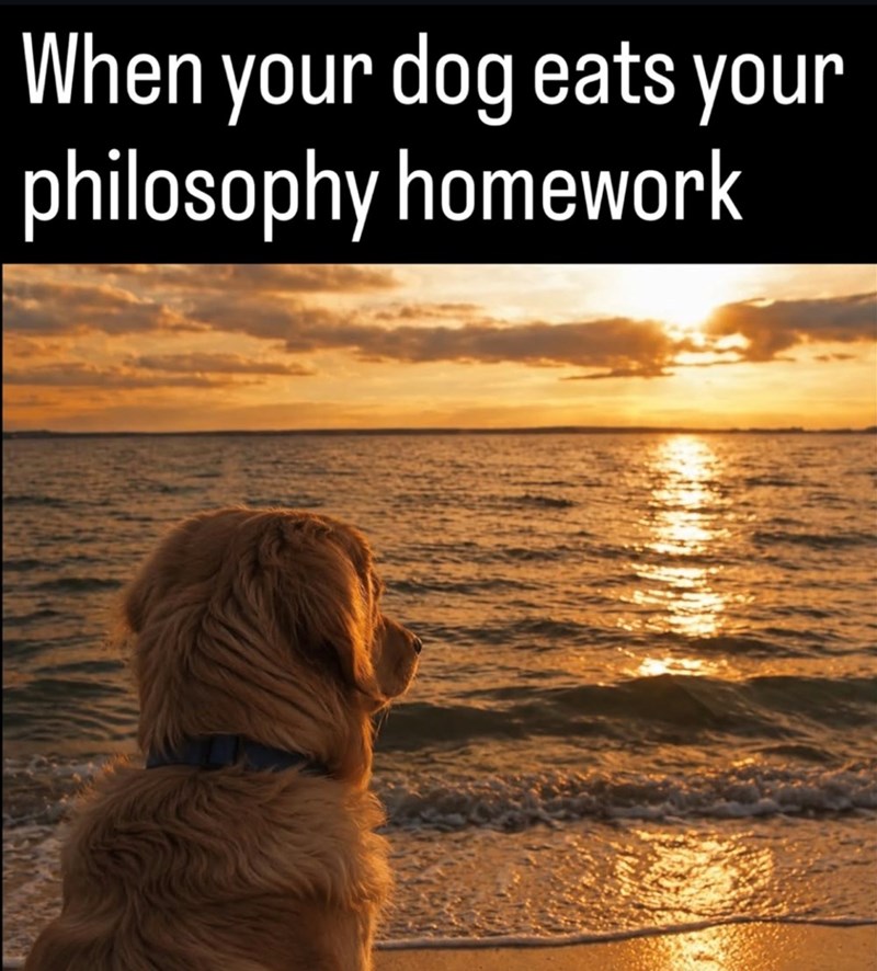 When your dog eats your philosophy homework