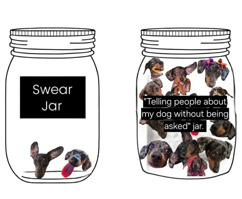 Swear Jar "Telling people about my dog without being asked" jar.