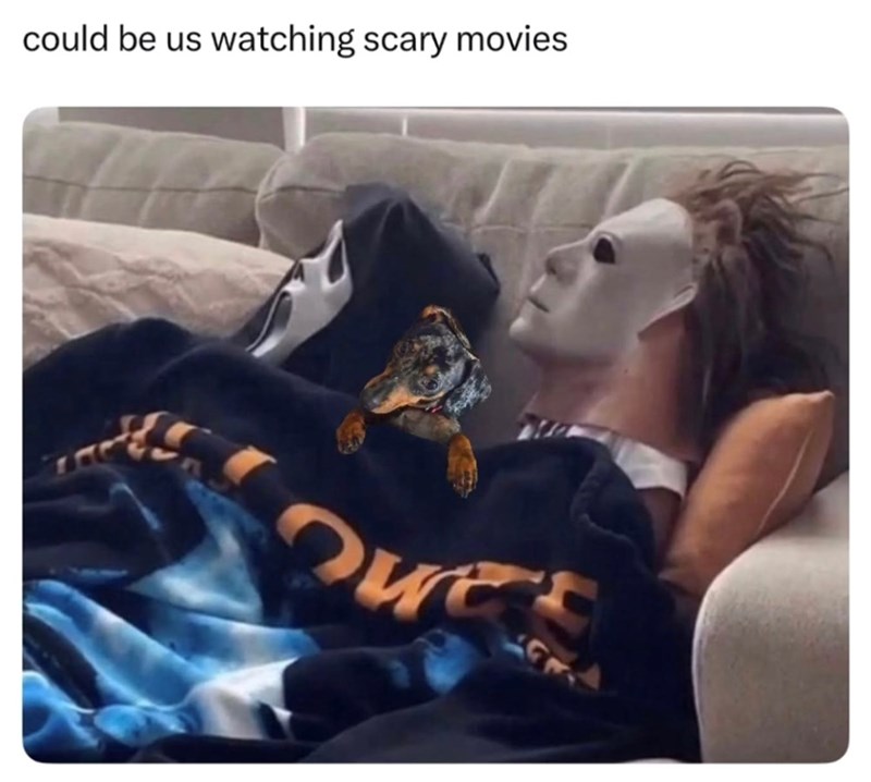 could be us watching scary movies Ques