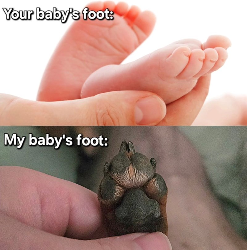Your baby's foot: My baby's foot: