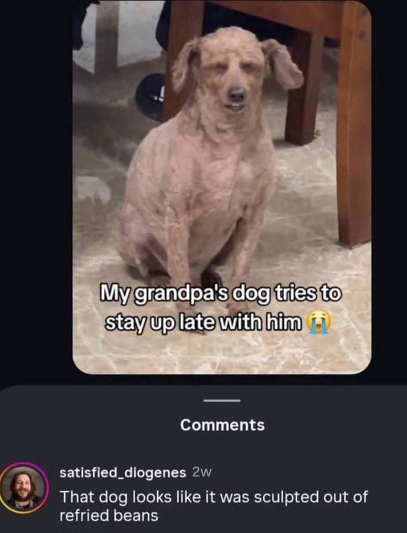 My grandpa's dog tries to stay up late with him Comments satisfied_diogenes 2w That dog looks like it was sculpted out of refried beans