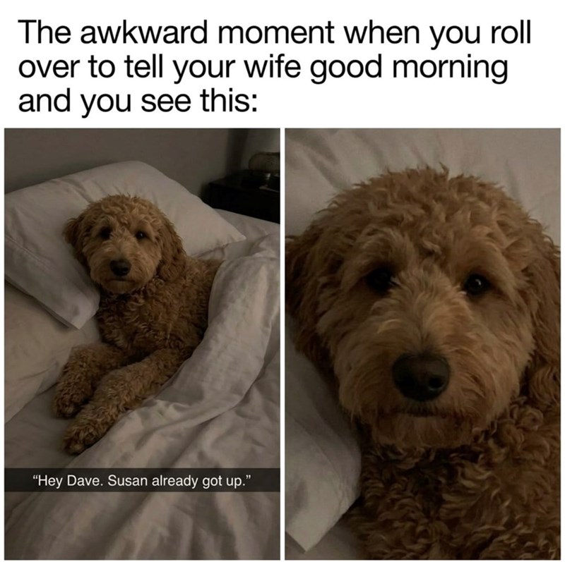 The awkward moment when you roll over to tell your wife good morning and you see this: "Hey Dave. Susan already got up."