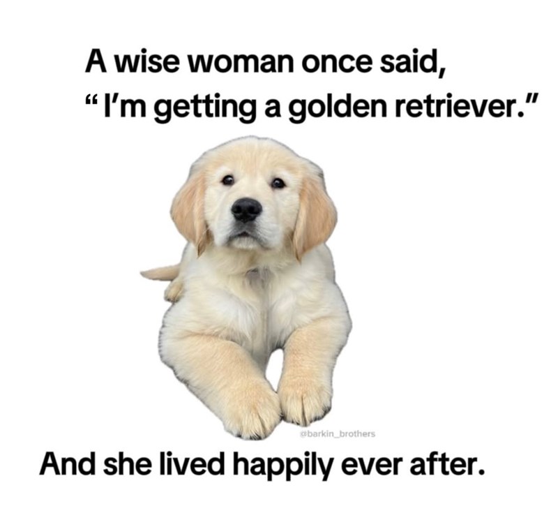 A wise woman once said, "I'm getting a golden retriever." @barkin brothers And she lived happily ever after.