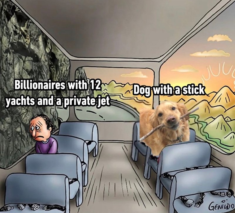 Billionaires with 12 yachts and a private jet Dog with a stick JUU GENILDO