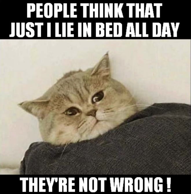 PEOPLE THINK THAT JUST I LIE IN BED ALL DAY THEY'RE NOT WRONG!