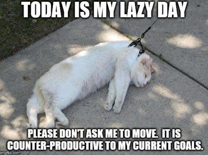 TODAY IS MY LAZY DAY PLEASE DON'T ASK ME TO MOVE IT IS COUNTER-PRODUCTIVE TO MY CURRENT GOALS. imgflip.com