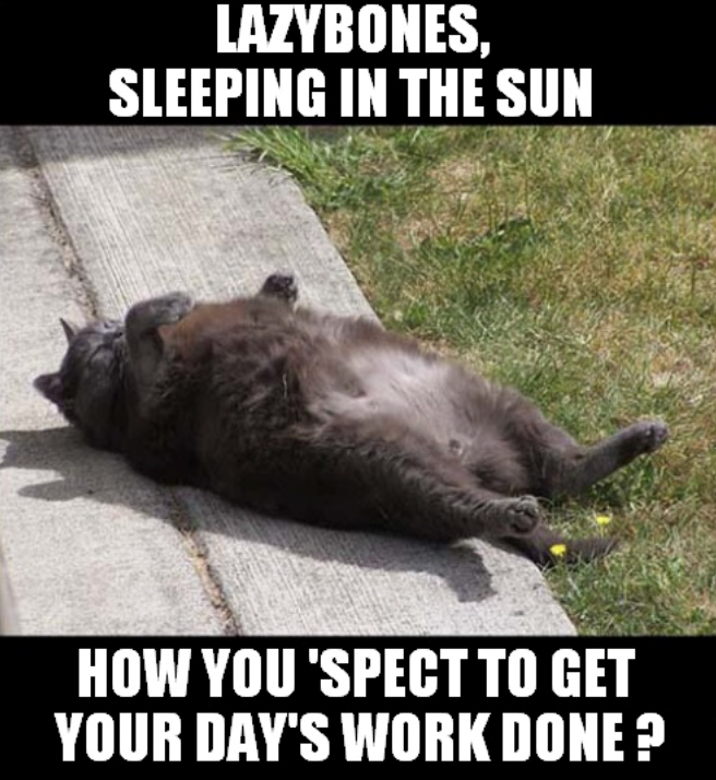 LAZYBONES, SLEEPING IN THE SUN HOW YOU 'SPECT TO GET YOUR DAY'S WORK DONE?