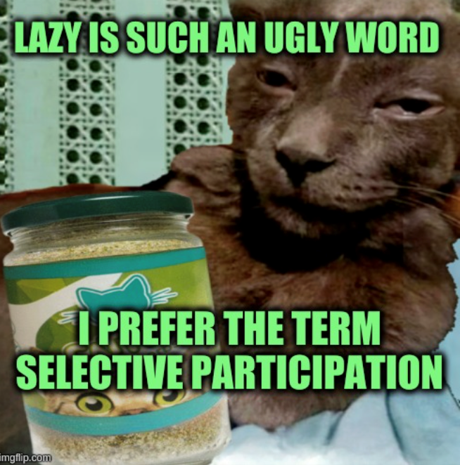 LAZY IS SUCH AN UGLY WORD I PREFER THE TERM SELECTIVE PARTICIPATION imgflip.com