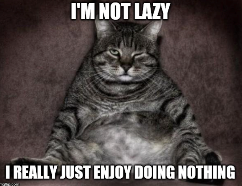 I'M NOT LAZY I REALLY JUST ENJOY DOING NOTHING mgflip.com