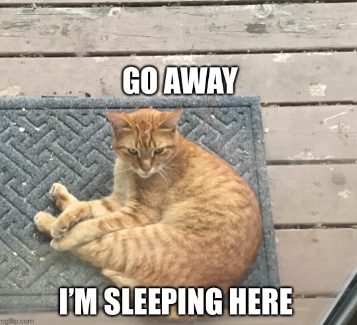 GO AWAY mgflip.com I'M SLEEPING HERE