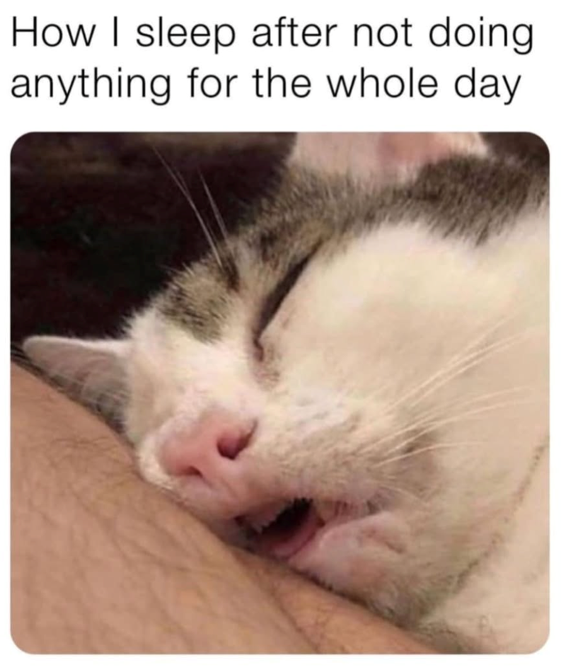 How I sleep after not doing. anything for the whole day