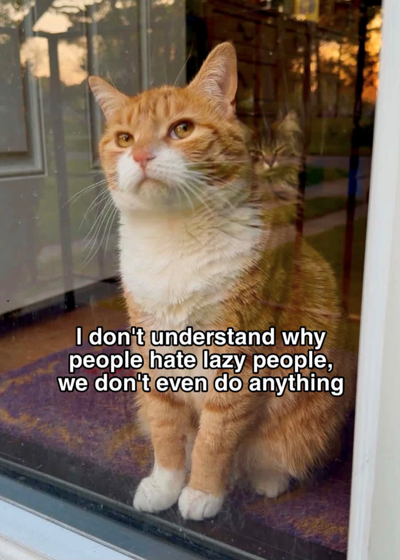 I don't understand why people hate lazy people, we don't even do anything