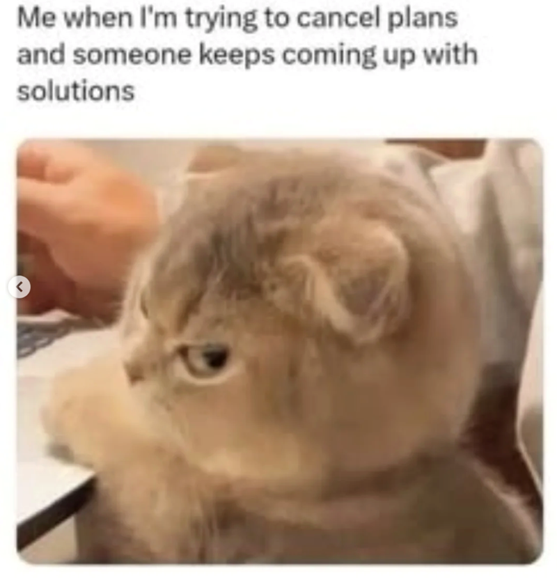 Me when I'm trying to cancel plans and someone keeps coming up with solutions