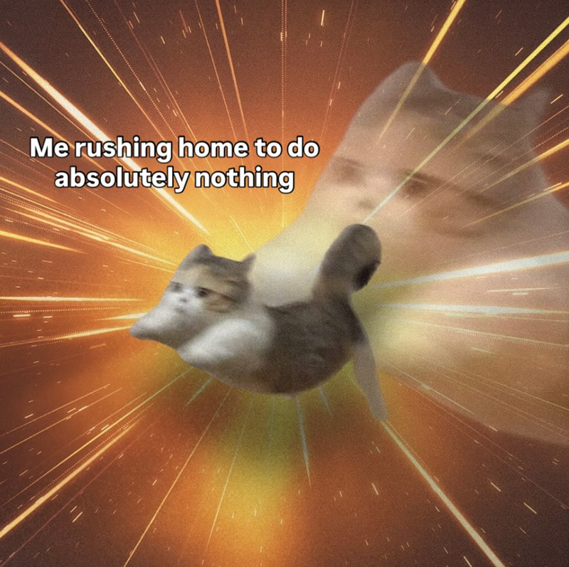 Me rushing home to do absolutely nothing