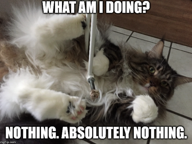WHAT AM I DOING? NOTHING. ABSOLUTELY NOTHING. mgflip.com