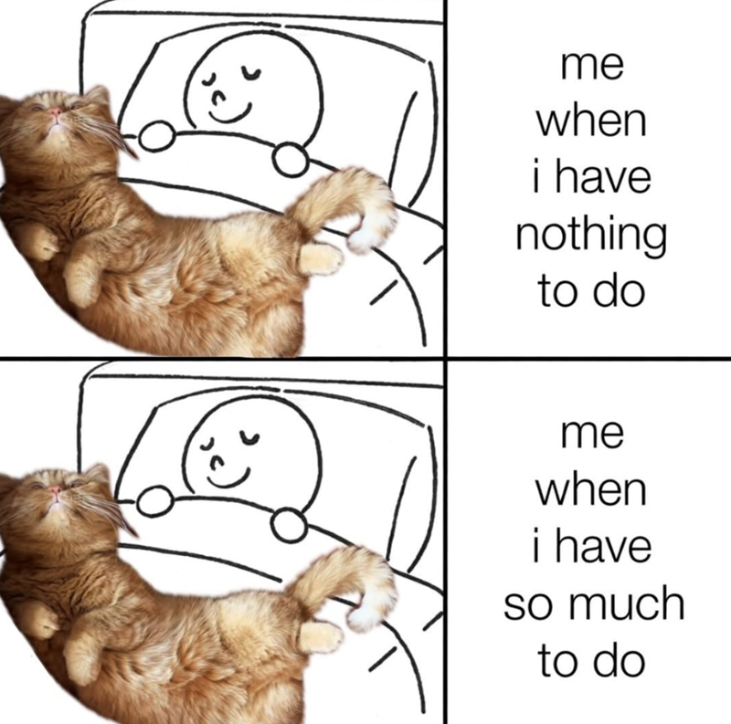 me when i have nothing to do me when i have so much to do