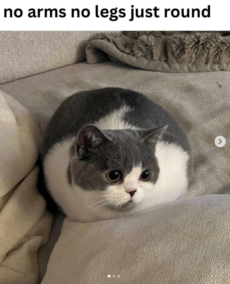 no arms no legs just round J