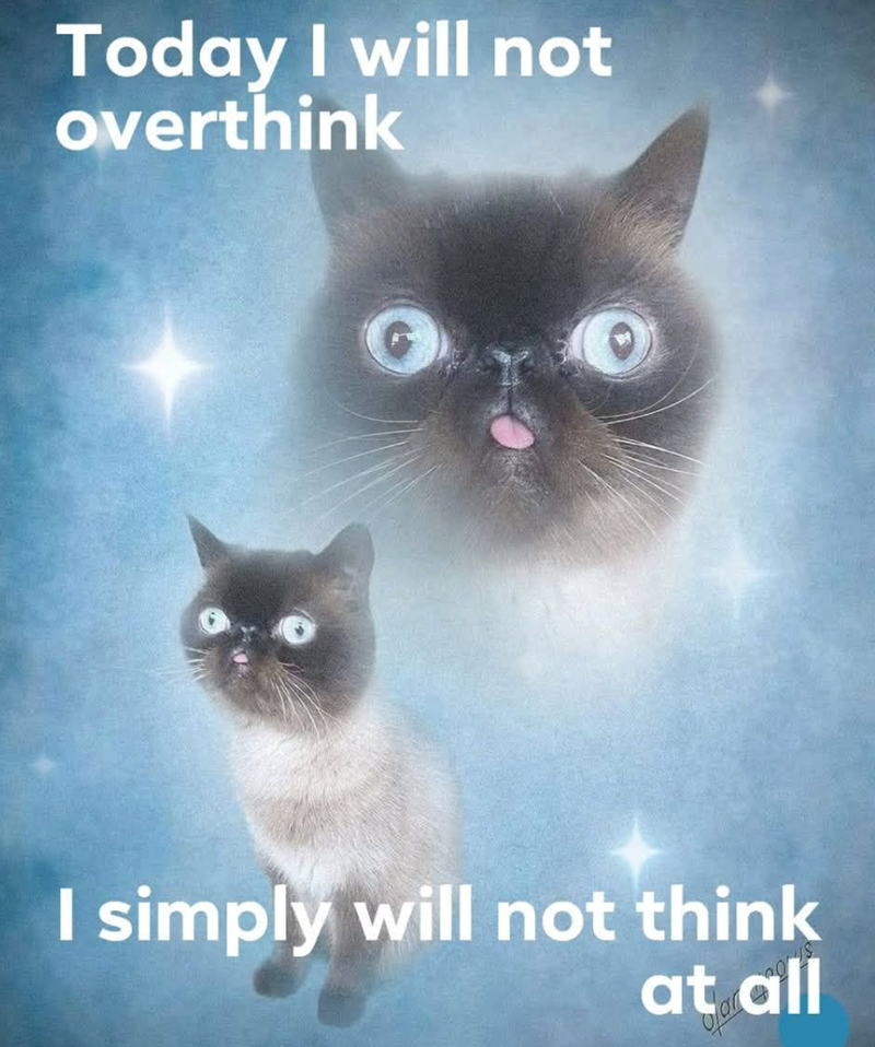 Today I will not overthink I simply will not think at all