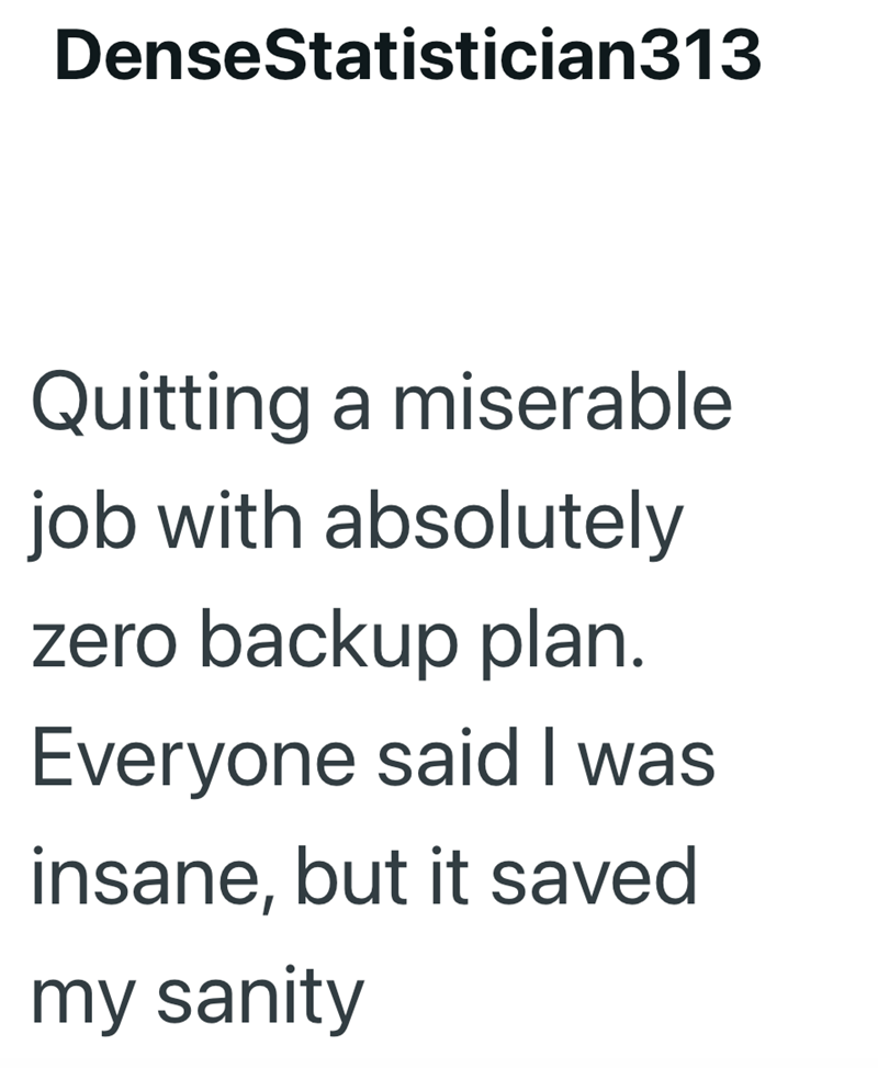 DenseStatistician313 Quitting a miserable job with absolutely zero backup plan. Everyone said I was insane, but it saved my sanity