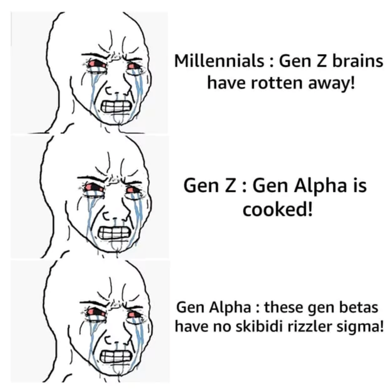 Millennials: Gen Z brains have rotten away! Gen Z Gen Alpha is cooked! Gen Alpha: these gen betas have no skibidi rizzler sigma!