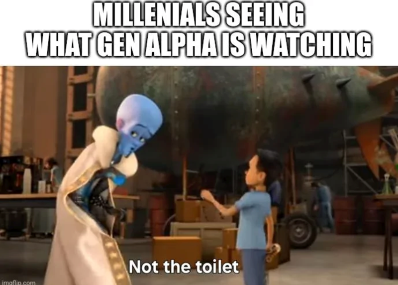MILLENIALS SEEING WHAT GEN ALPHA IS WATCHING imaflip.com Not the toilet