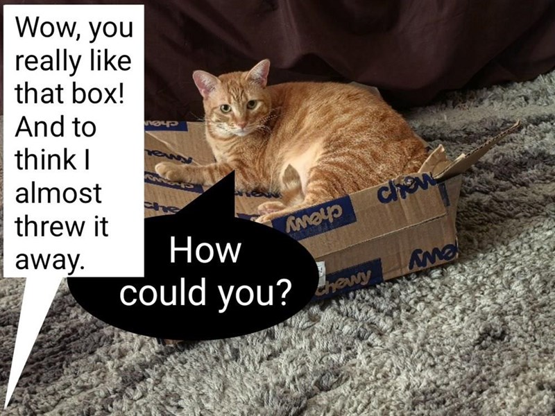 Wow, you really like that box! And to think I almost threw it chew Амор away. How could you? Chewy Ama