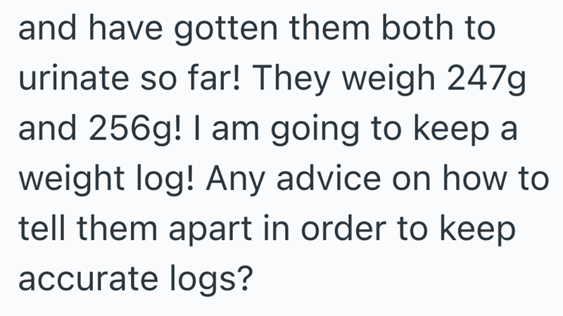 and have gotten them both to urinate so far! They weigh 247g and 256g! I am going to keep a weight log! Any advice on how to tell them apart in order to keep accurate logs?