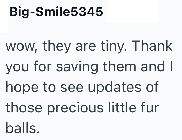 Big-Smile5345 wow, they are tiny. Thank you for saving them and I hope to see updates of those precious little fur balls.