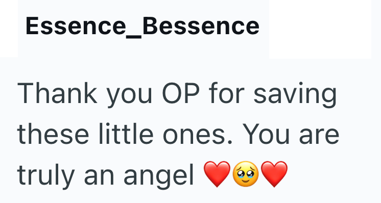 Essence_Bessence Thank you OP for saving these little ones. You are truly an angel