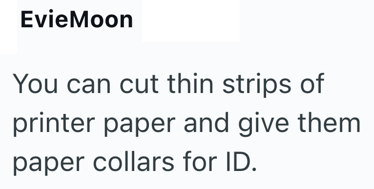 EvieMoon You can cut thin strips of printer paper and give them paper collars for ID.