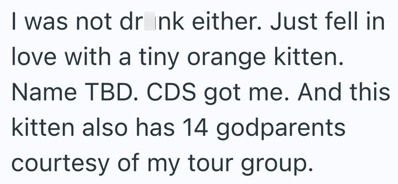 I was not drink either. Just fell in love with a tiny orange kitten. Name TBD. CDS got me. And this kitten also has 14 godparents courtesy of my tour group.