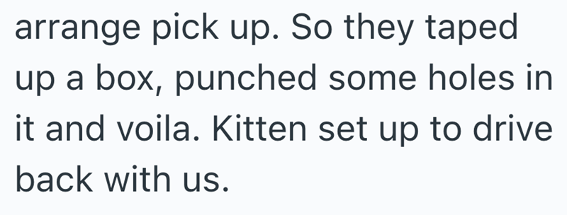 arrange pick up. So they taped up a box, punched some holes in it and voila. Kitten set up to drive back with us.